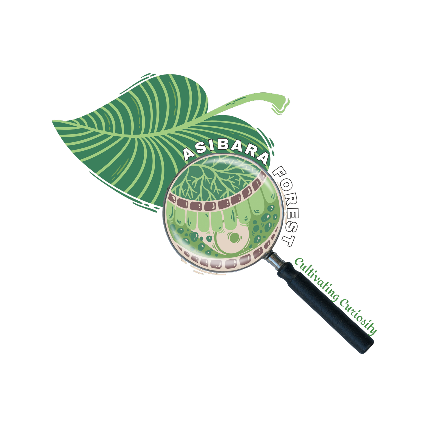 ASIBARA+FOREST downloaded.png