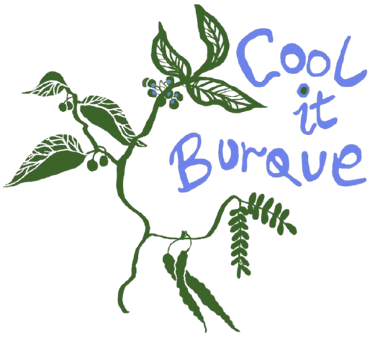 cool it burque - downloaded.png