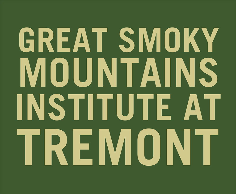 Tremont Logo 1000x820 - Erin Rosolina.png