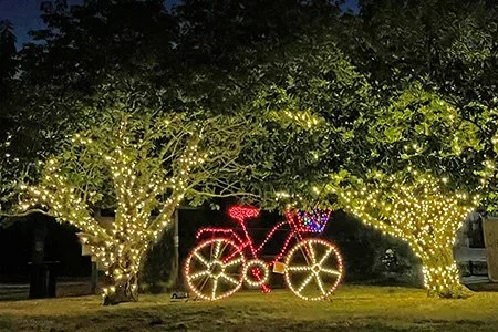Orleans-LightedGiantBicycle-6x9-sm.jpg.webp