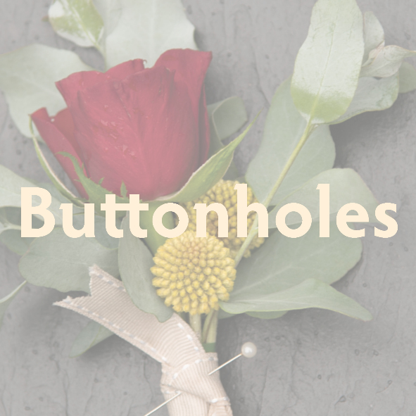 Image gateway for buttonholes