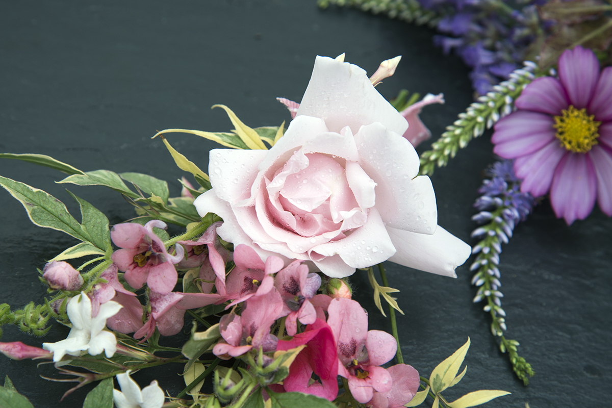 Pink Rose Boutonniere