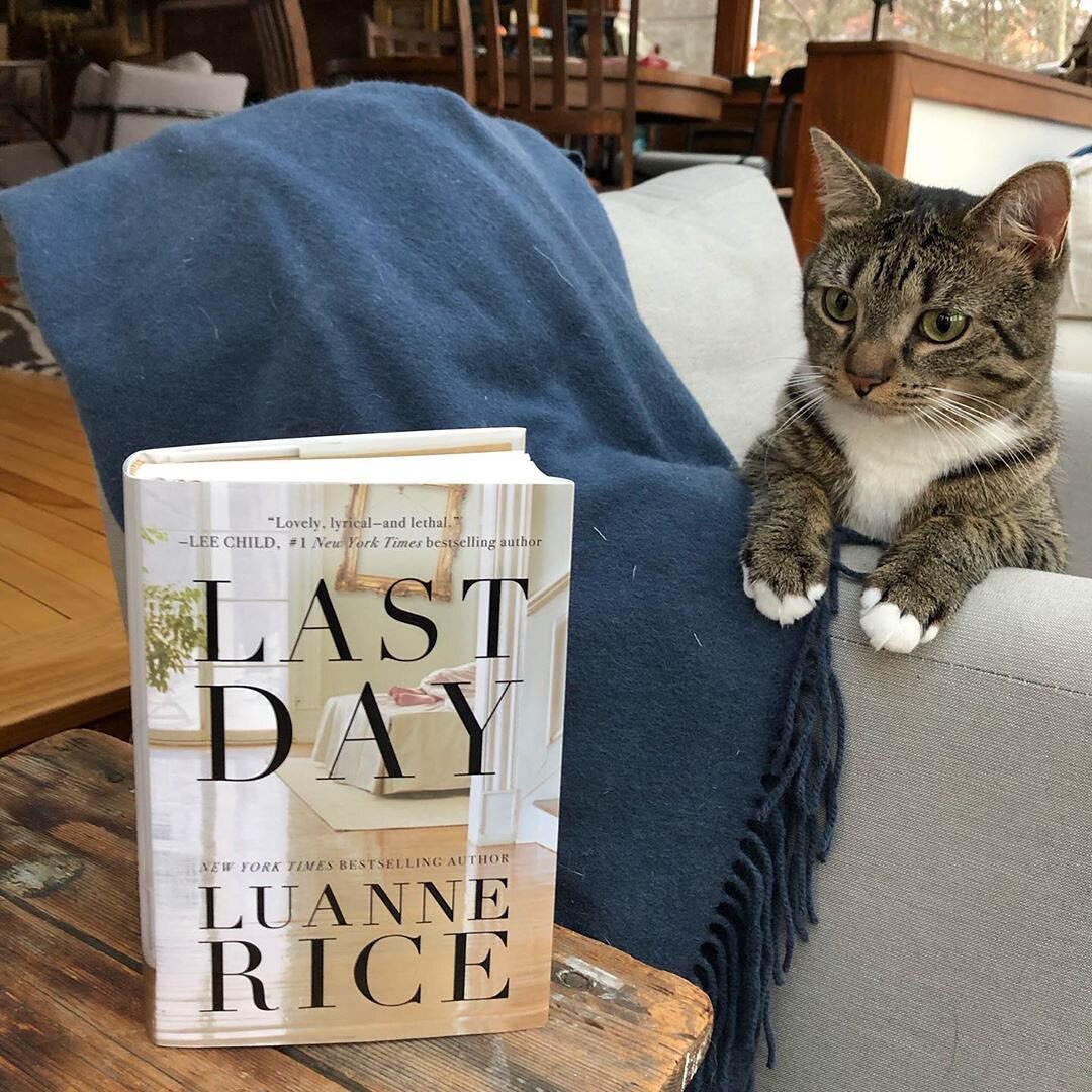 &ldquo;i&rsquo;m so excited&mdash;my hardcover copies of LAST DAY just arrived!  i was surprised/delighted by the illustration beneath the dust jacket, on the cover itself. (thank you, thomas &amp; mercer!) i can&rsquo;t wait for you to read it&mdash