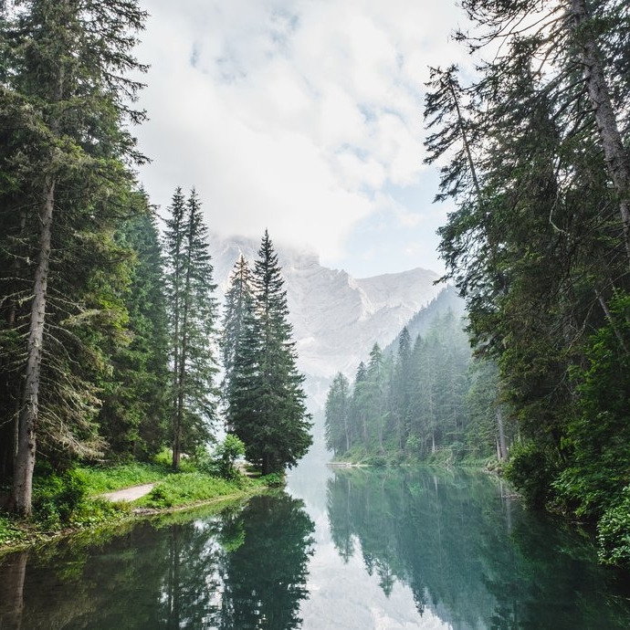 INTERNAL MEDICINE For thousands of years Chinese medicine has been a system of medicine based on organ channels, their relationship to each other and how they work interchangeably as a reflection of nature itself.