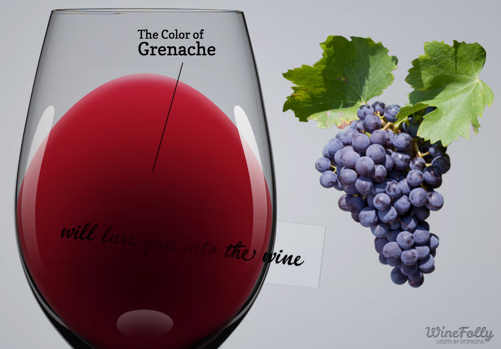 Grenache or Garnacha is one of the most widely planted red wine grape varieties in the world. It ripens late, so it needs hot, dry conditions such as those found in Spain