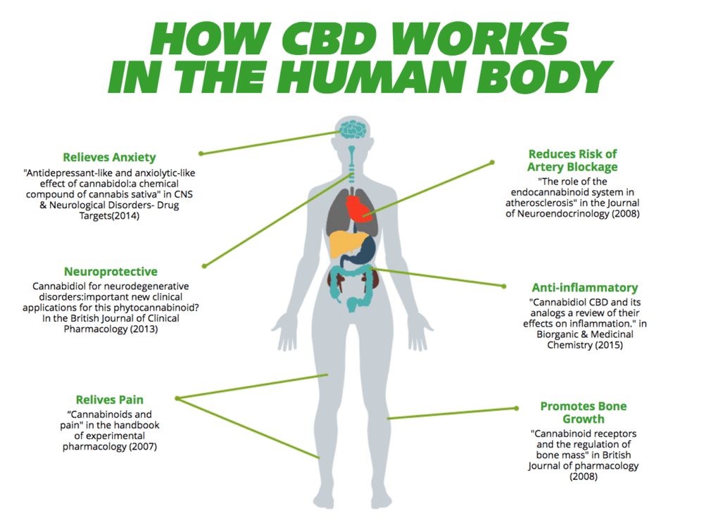 cbd 3.png