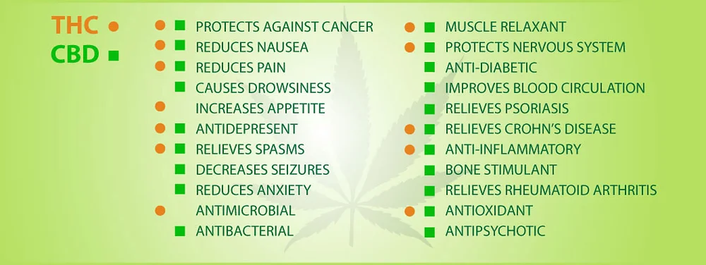 CBD-chart.jpg