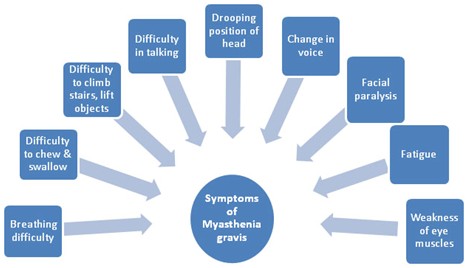 myasthenia-gravis symptoms.jpg