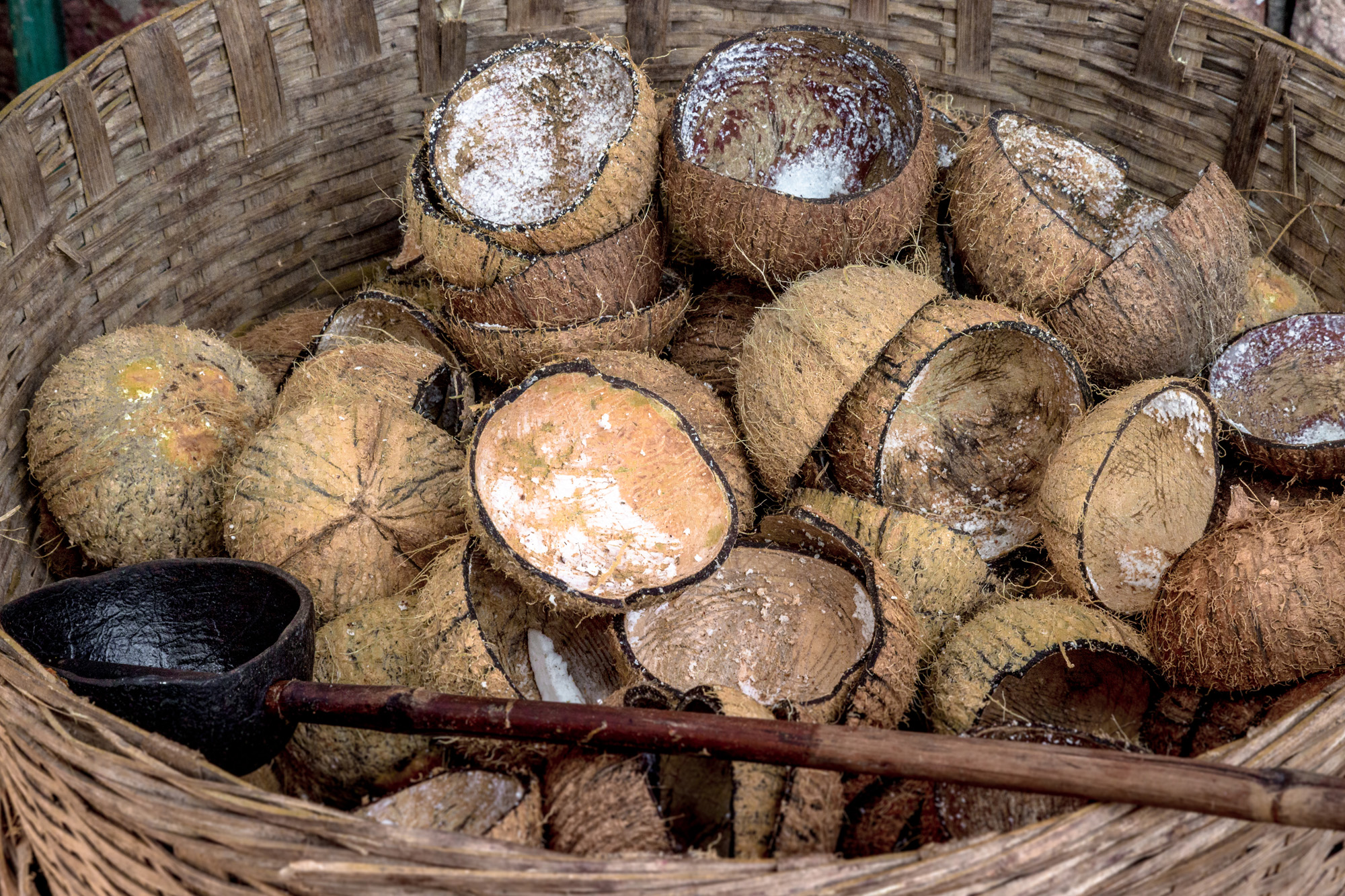 Raw coconuts used in the Malvan cuisine