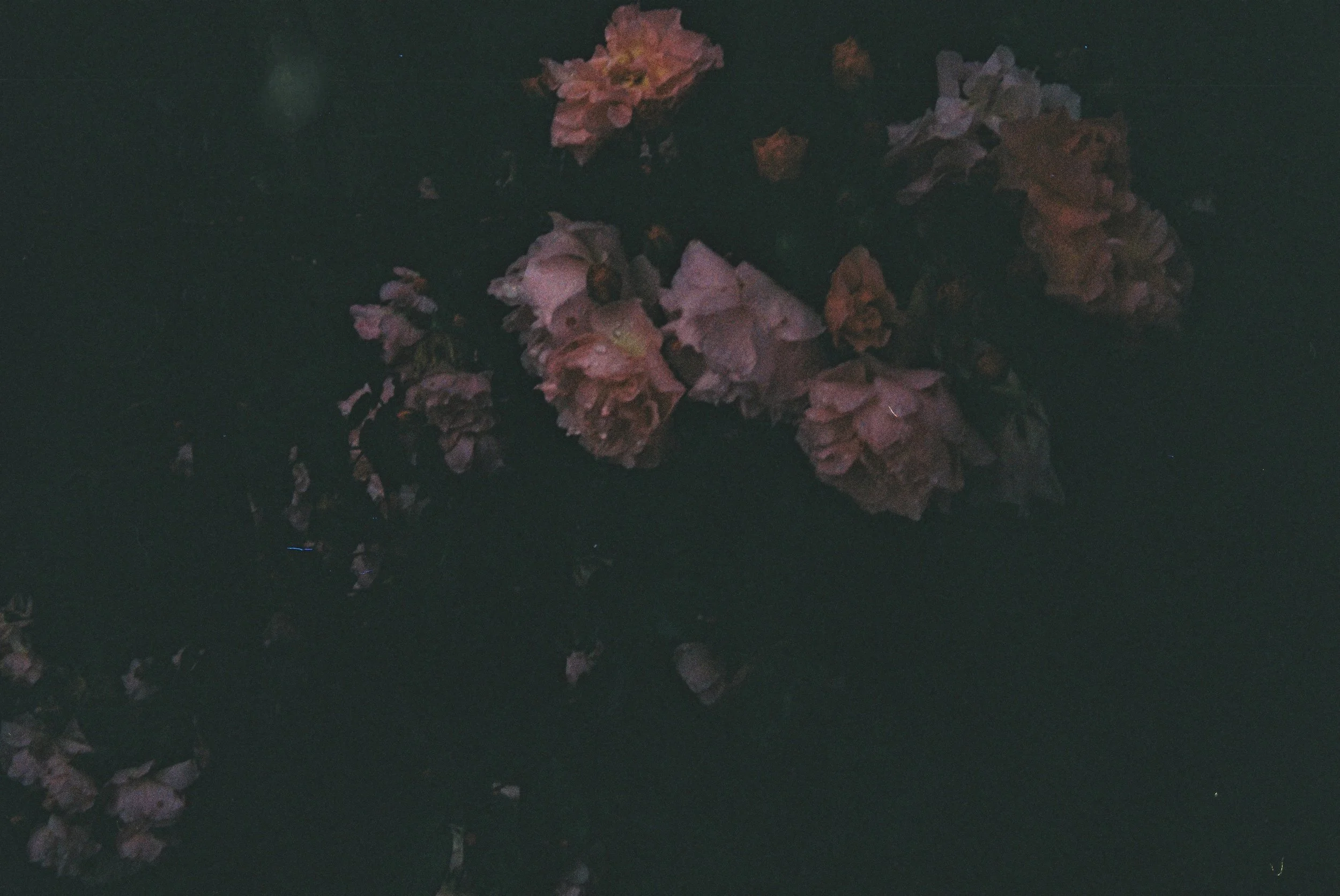000103.jpg