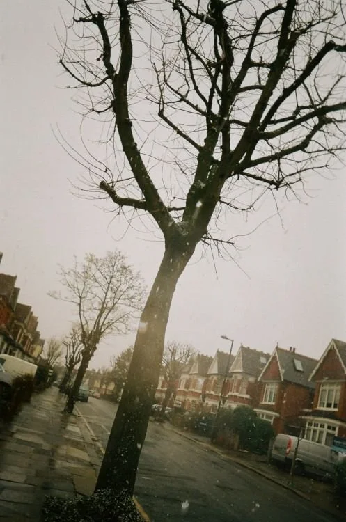 WhatsApp Image 2026-03-25 at 20.56.14 (2).jpeg