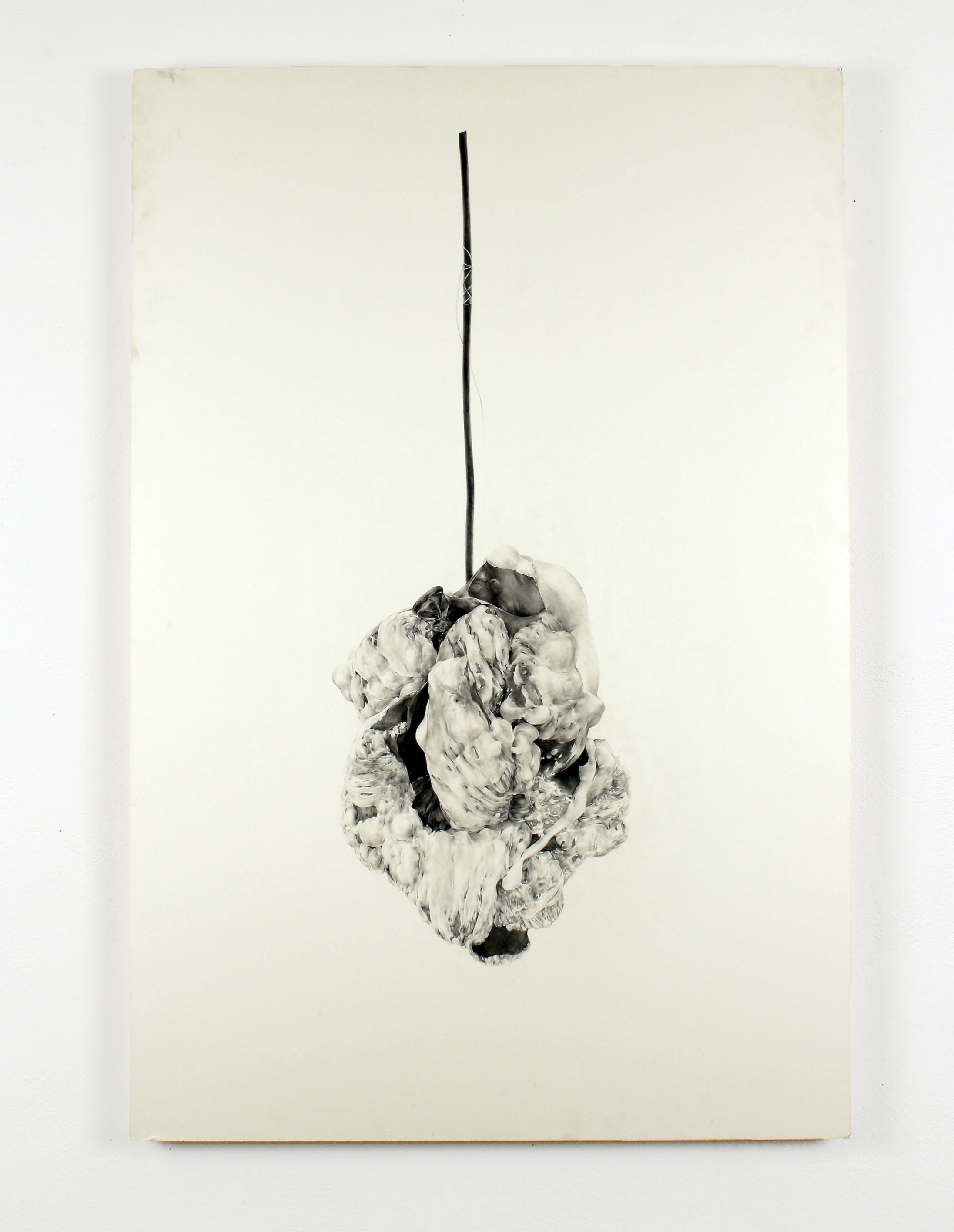 Untitled V