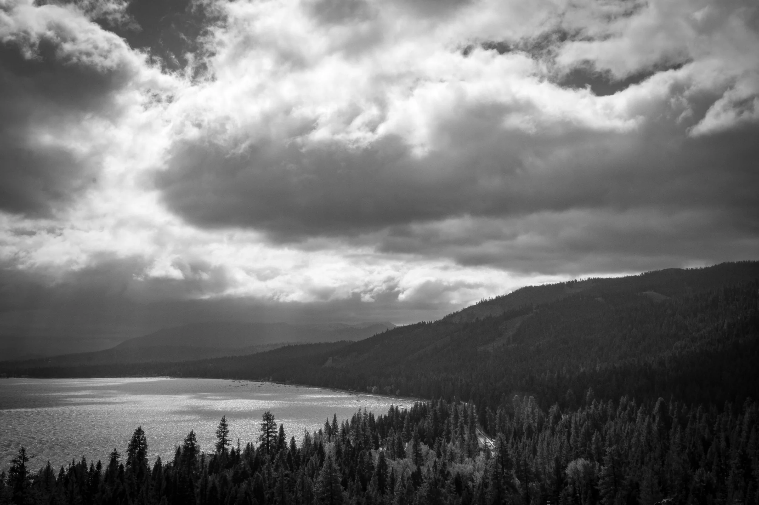 _MG_2650.jpg