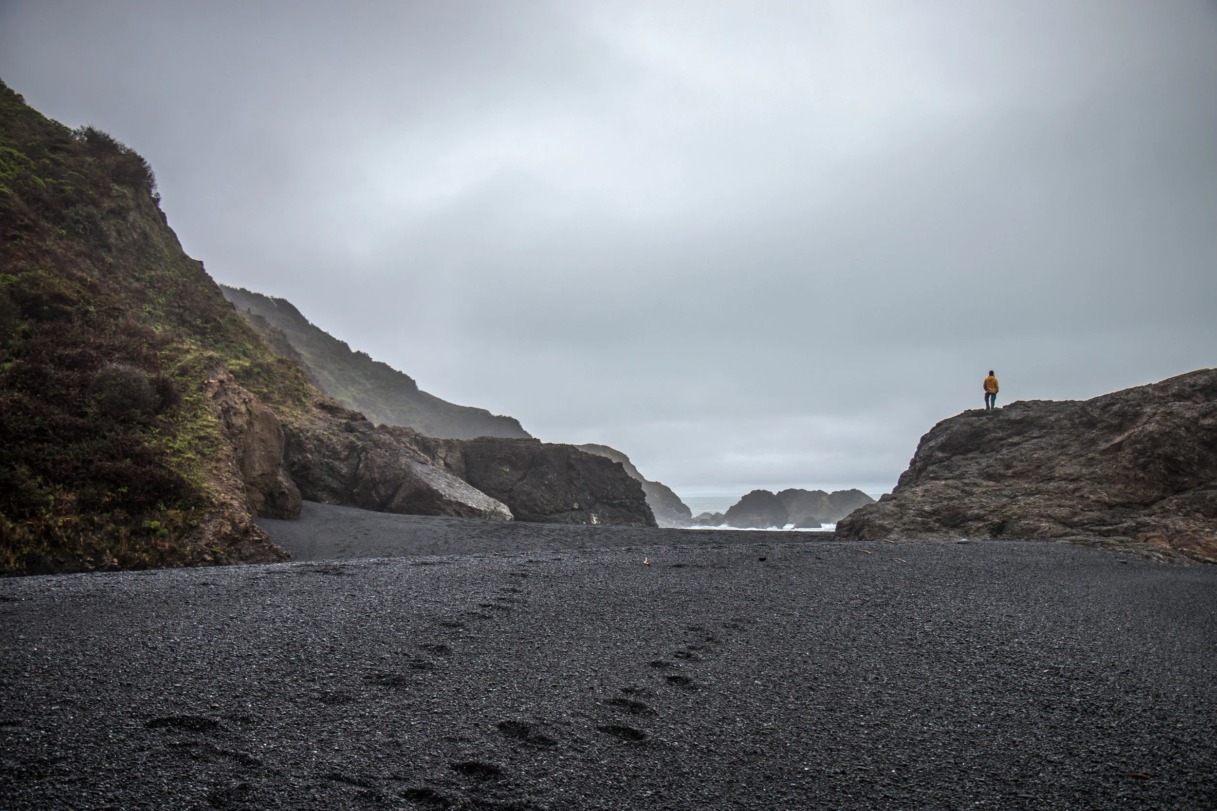 _MG_5348.jpg