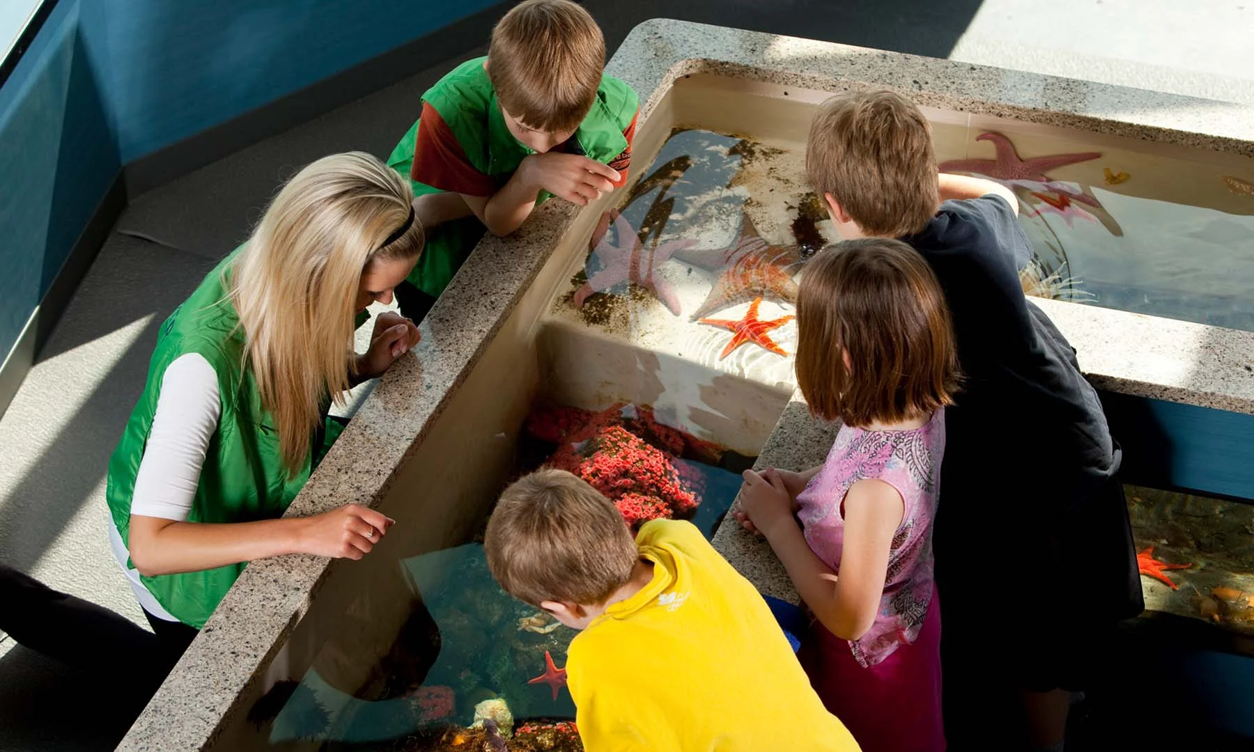 Touch Tank