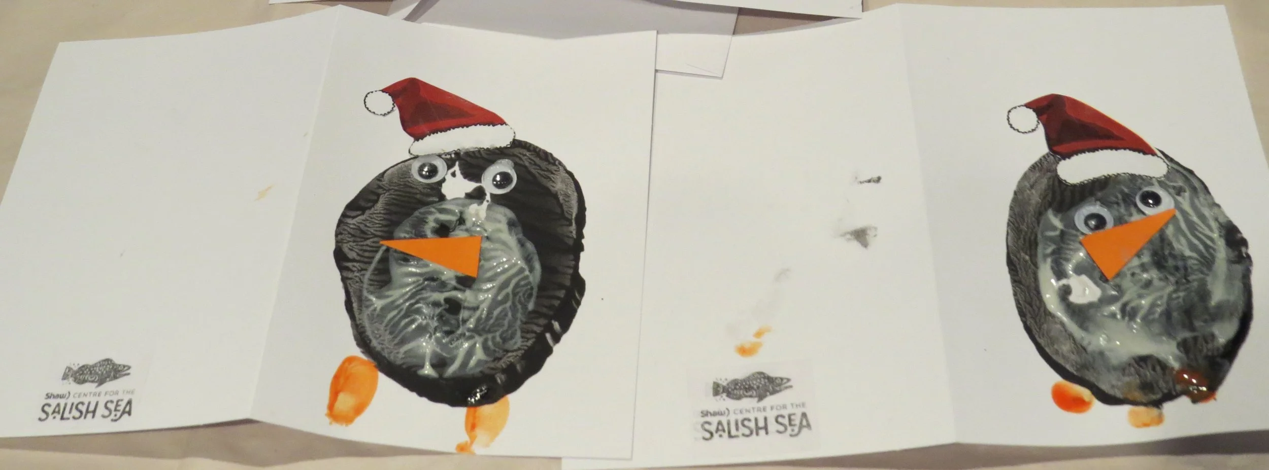 Tot Tuesday "Antarctic Adventure"