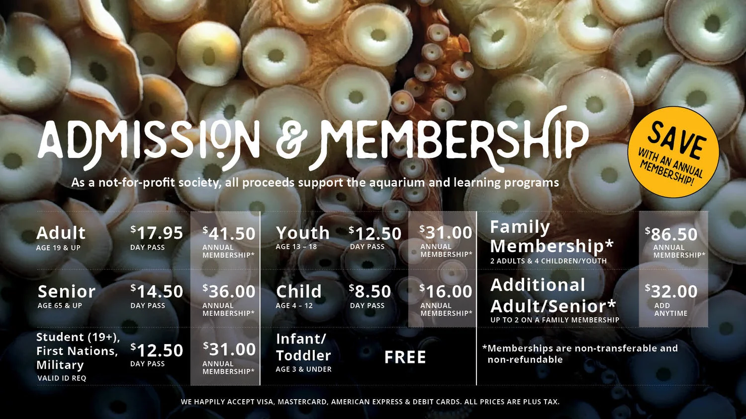 SCSS Admissions Slide3.jpg