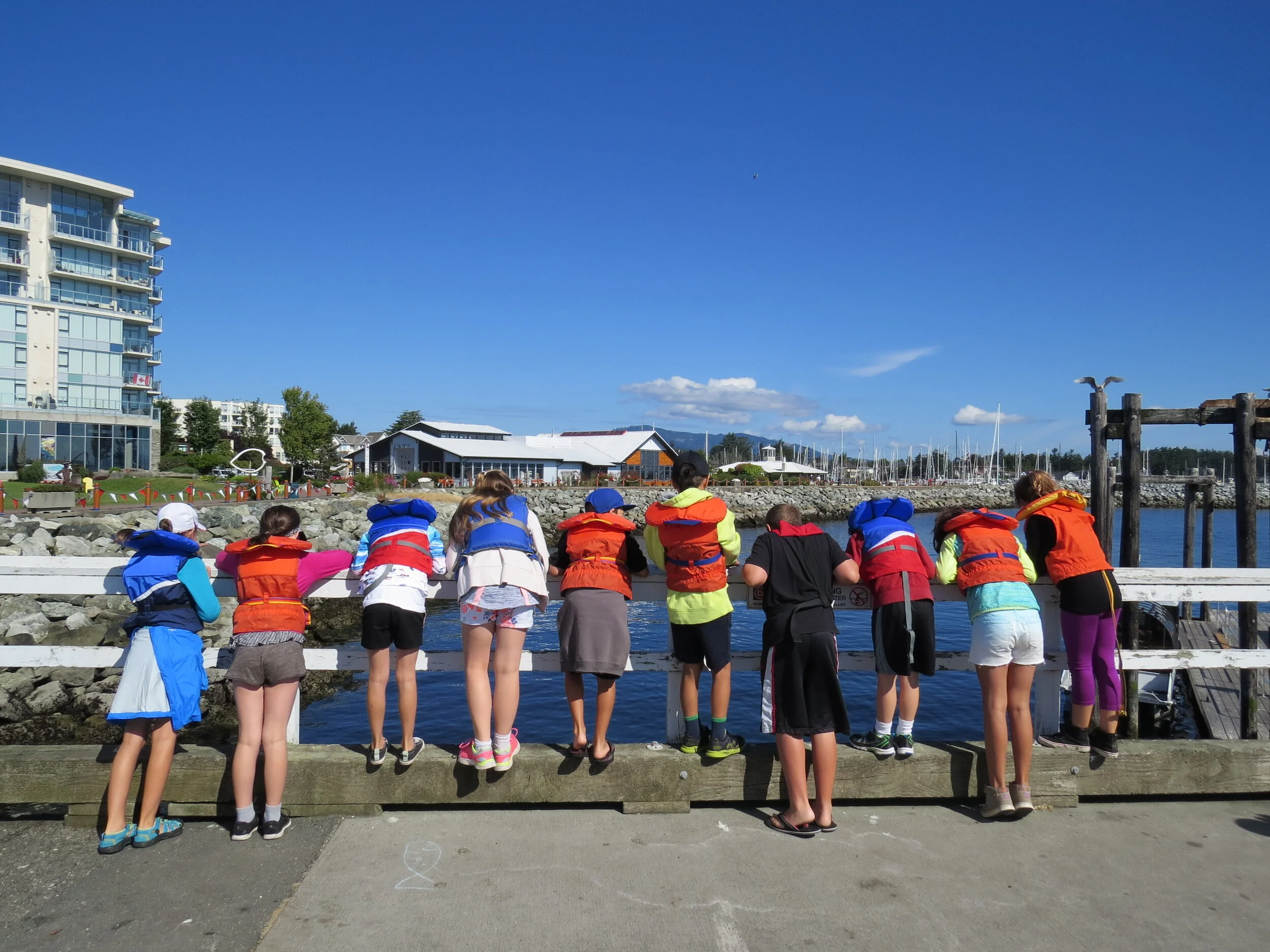 SUMMER CAMP REGISTRATION OPENS!