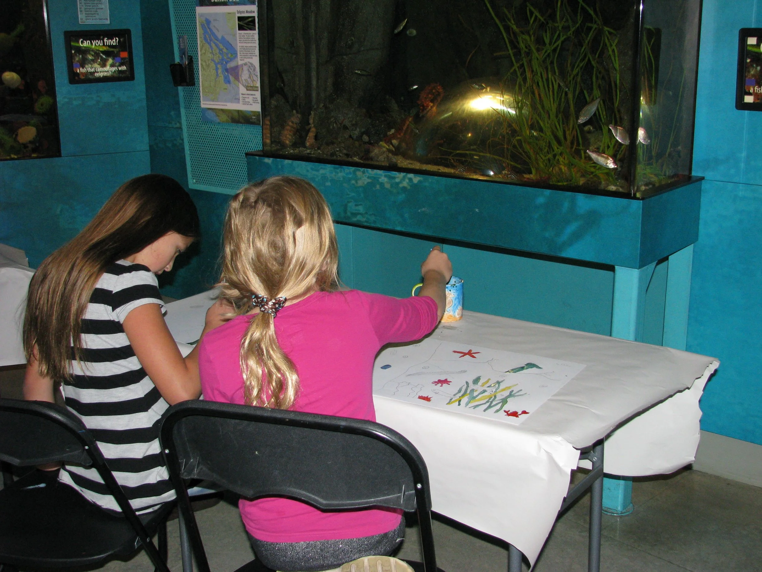 Art in the Aquarium Special Event