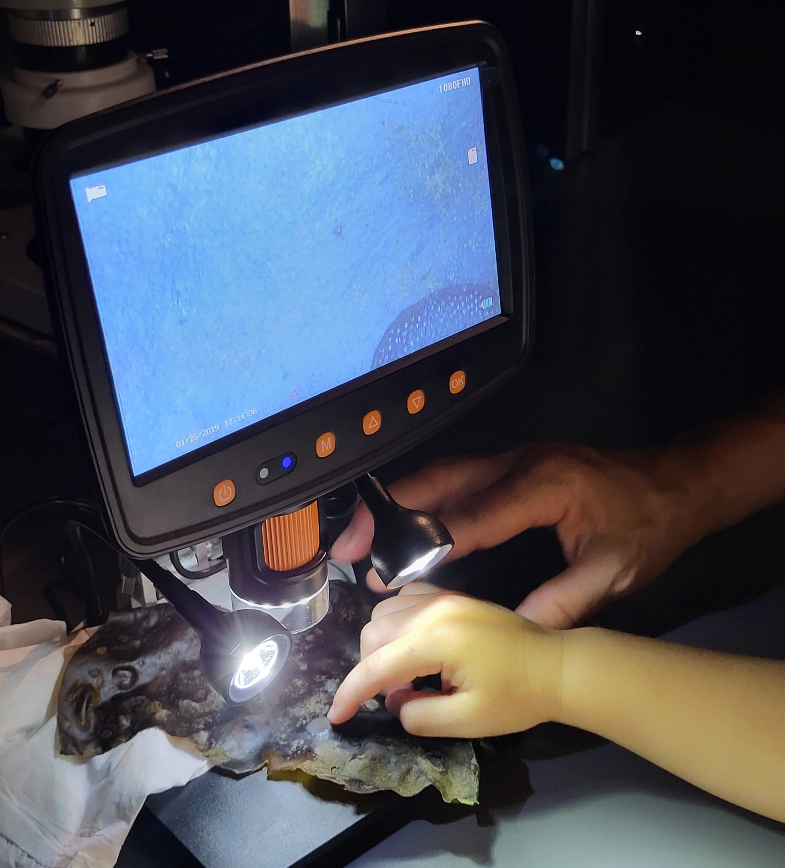 Tot Tuesday — Science of Discovery