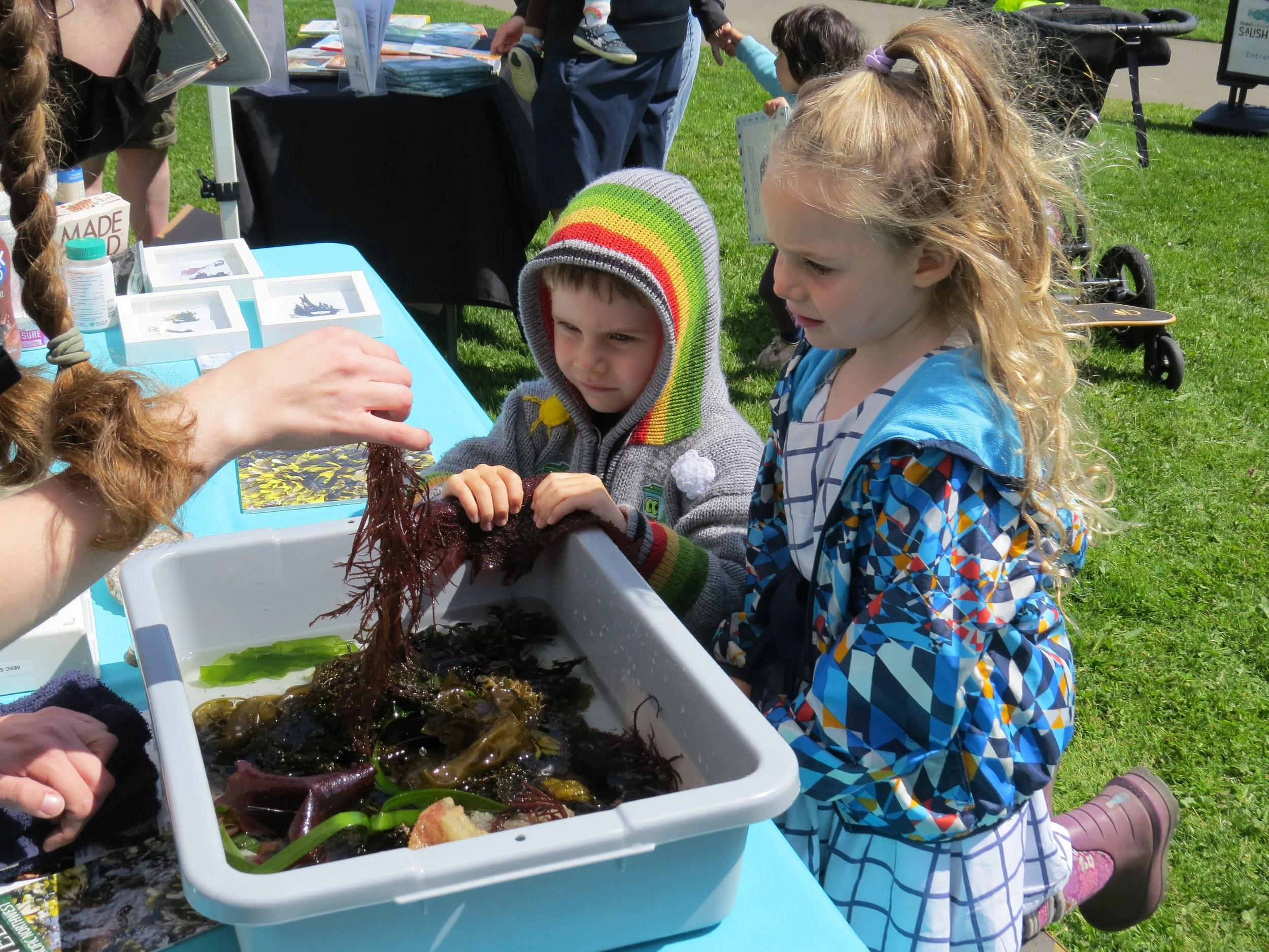 World Ocean Day Celebration