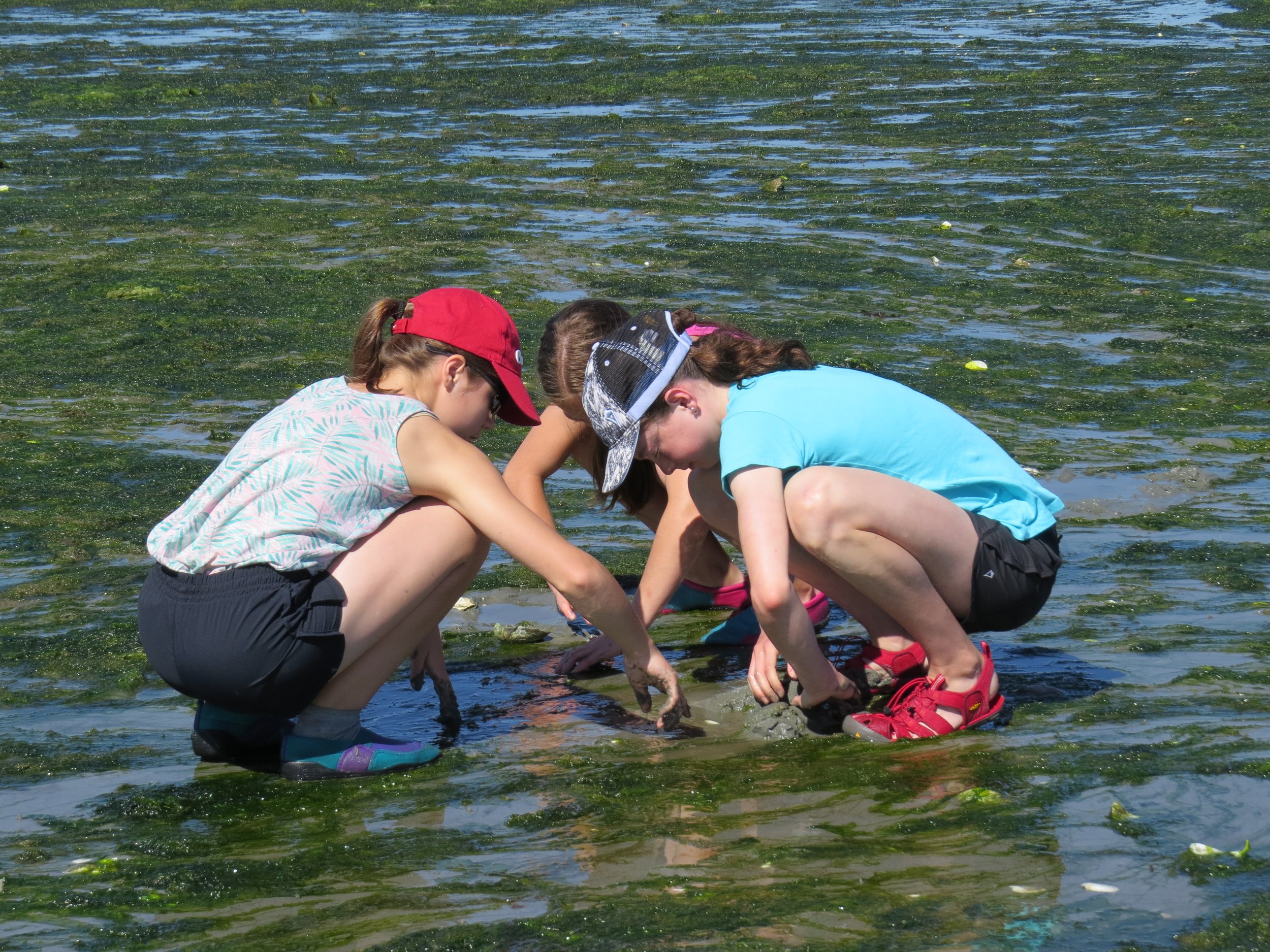 Roberts Bay Beach Exploration — Drop-In