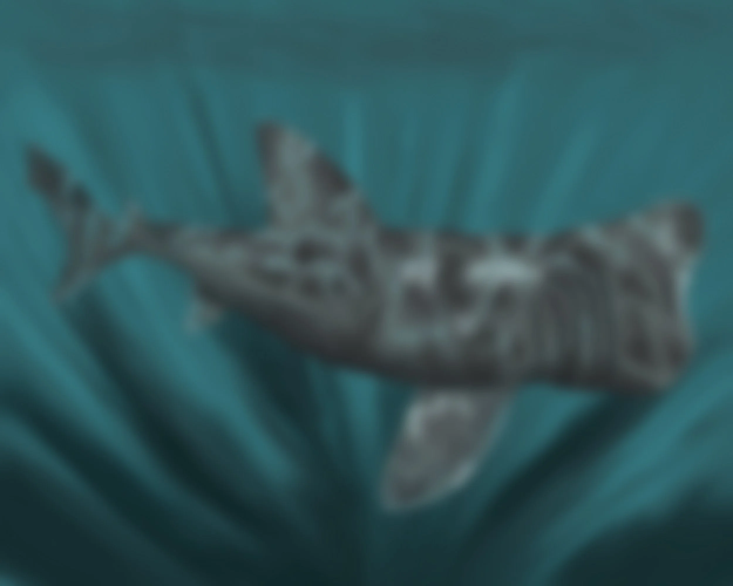 Paint Night: Basking Shark