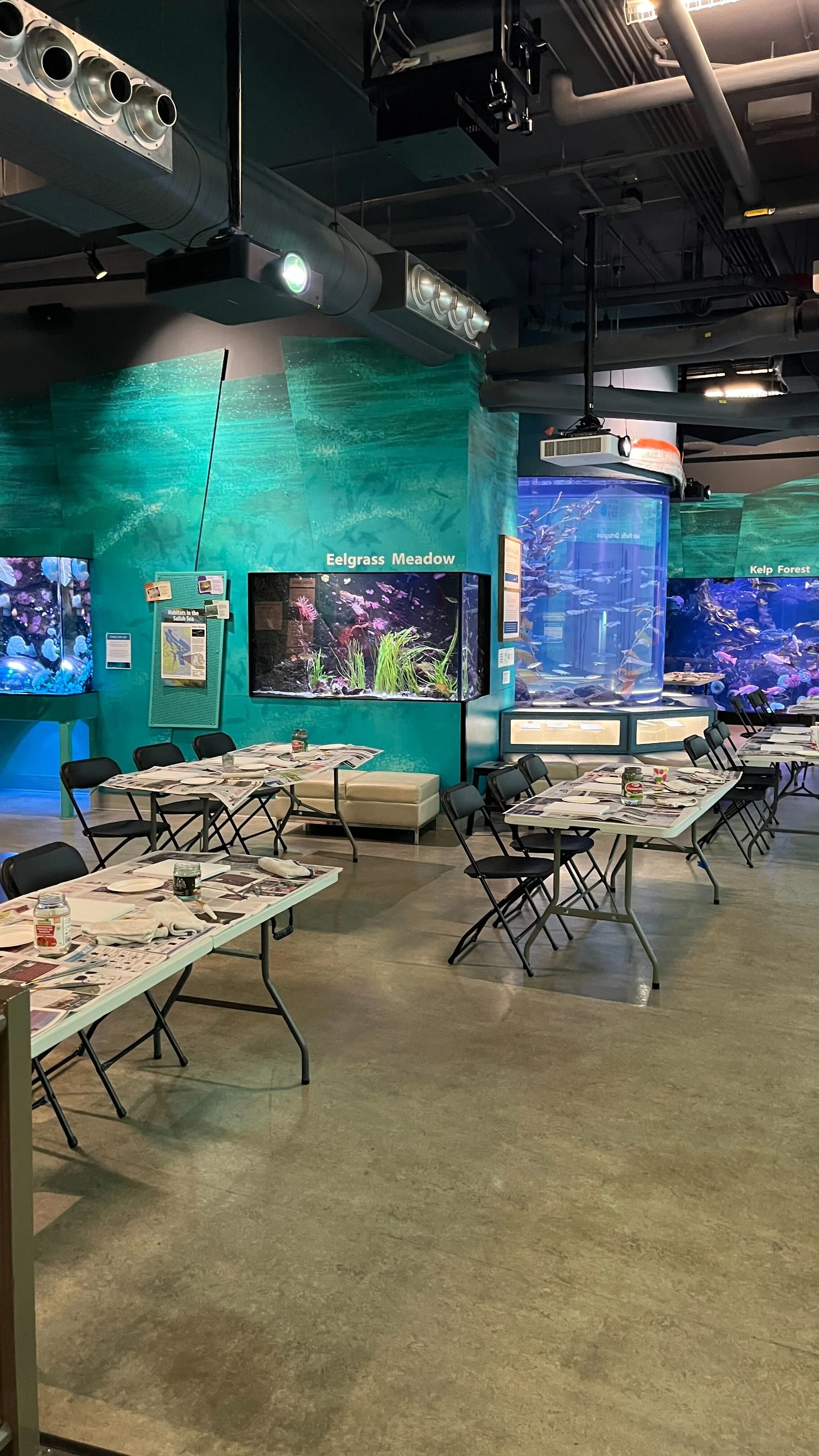 Paint Night: Wolf Eels
