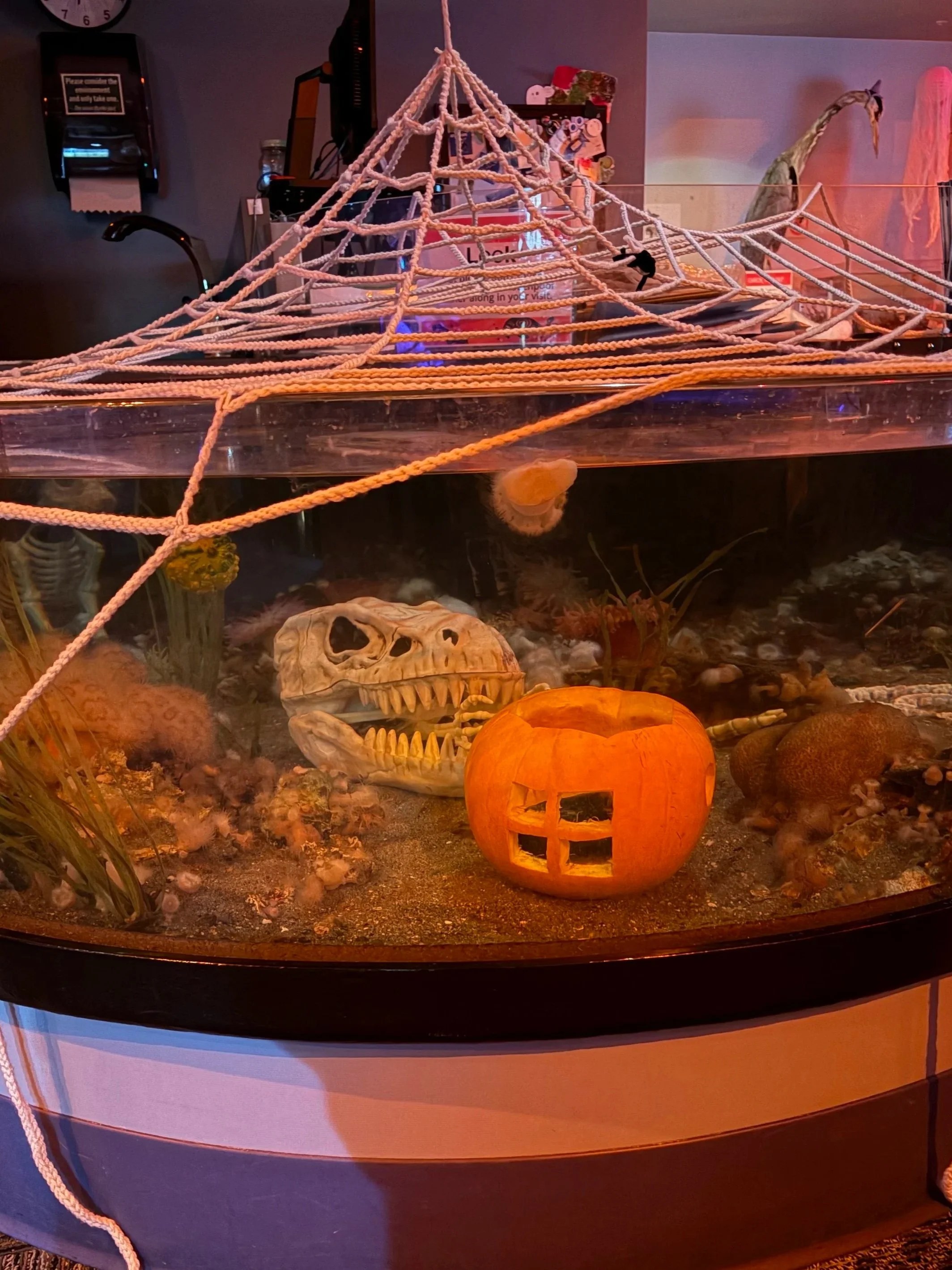 A-scare-ium of the Salish Sea