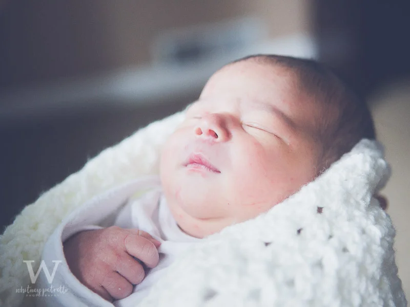 Ferraro Family | Newborn Photographer | Family Photographer | Portland, OR | Whitney Petretto Photography