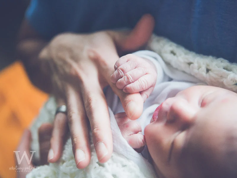 Ferraro Family | Newborn Photographer | Family Photographer | Portland, OR | Whitney Petretto Photography