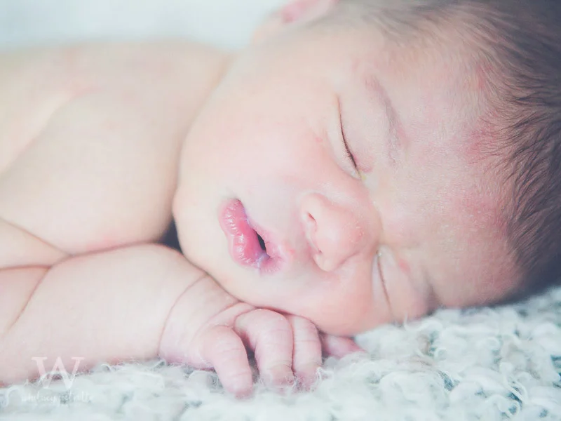 Ferraro Family | Newborn Photographer | Family Photographer | Portland, OR | Whitney Petretto Photography