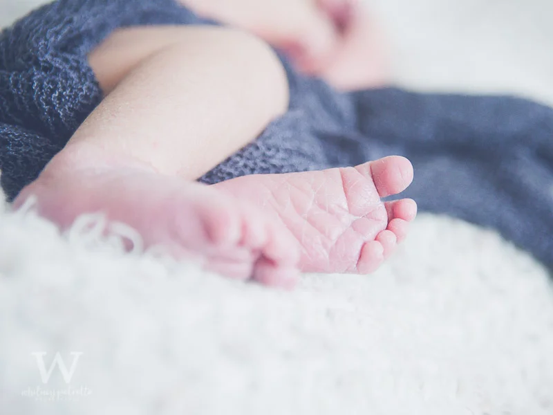 Ferraro Family | Newborn Photographer | Family Photographer | Portland, OR | Whitney Petretto Photography