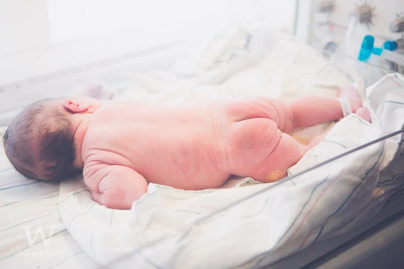 Welcome Vincenzo | Birth Photography | Newborn Photography | Children and Family Photographer | Portland, OR | Whitney Petretto Photography