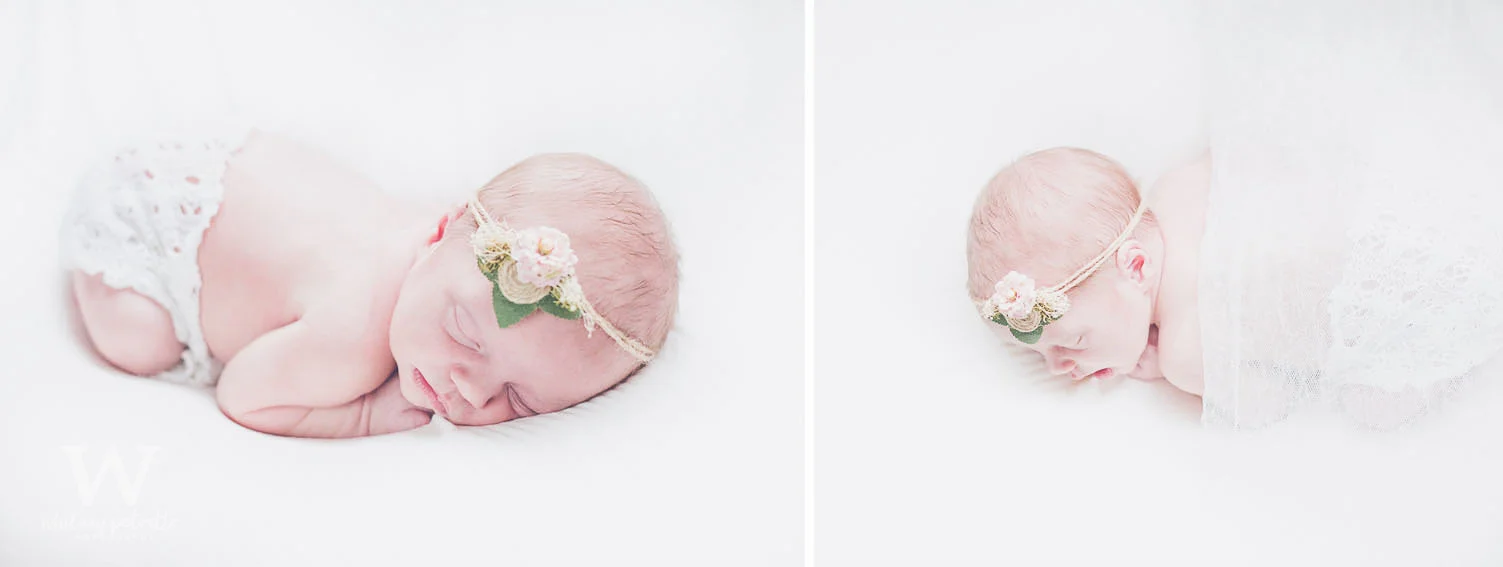 Miss Charlotte Jean | Newborn Photographer | Family Photographer | Portland, OR | Whitney Petretto Photography
