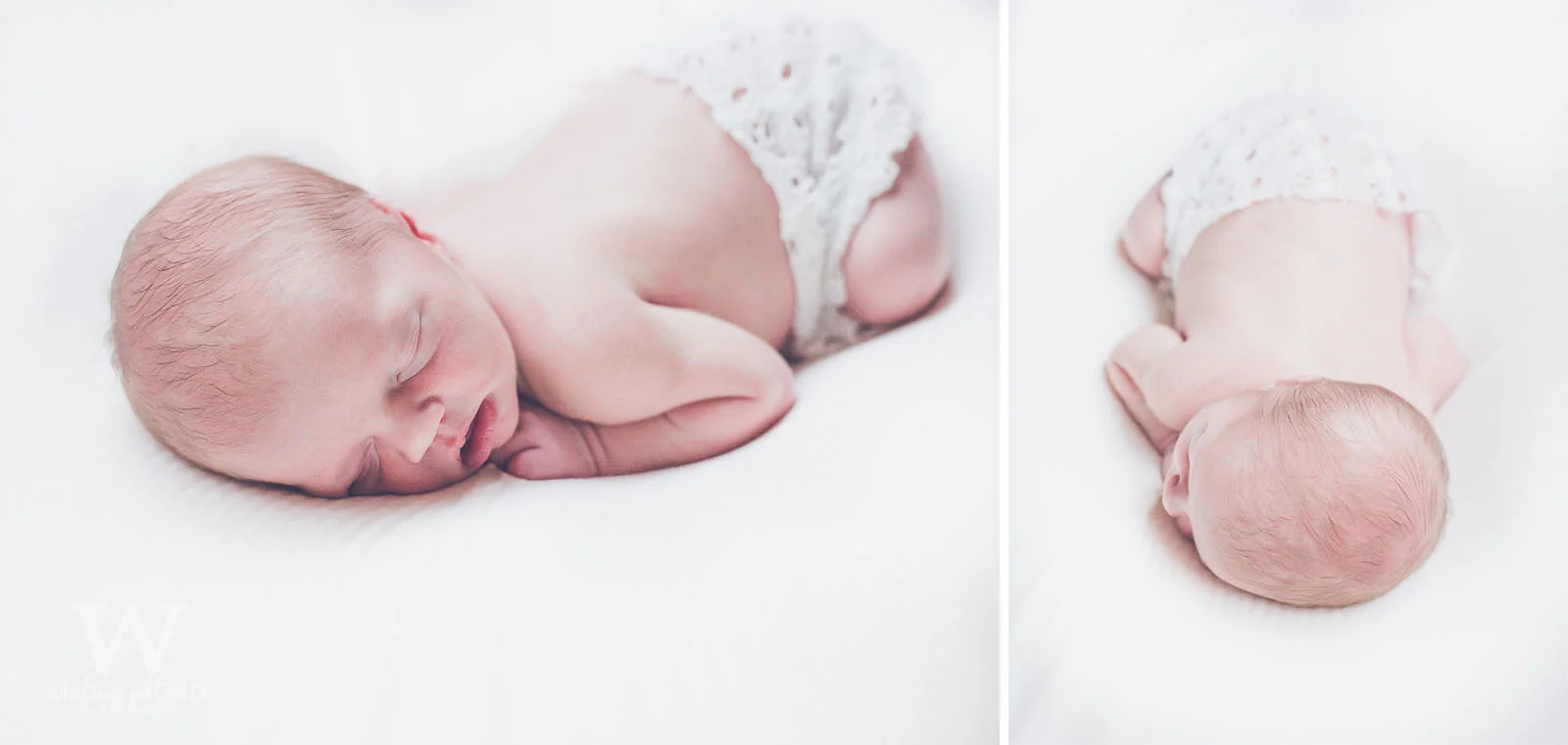 Miss Charlotte Jean | Newborn Photographer | Family Photographer | Portland, OR | Whitney Petretto Photography
