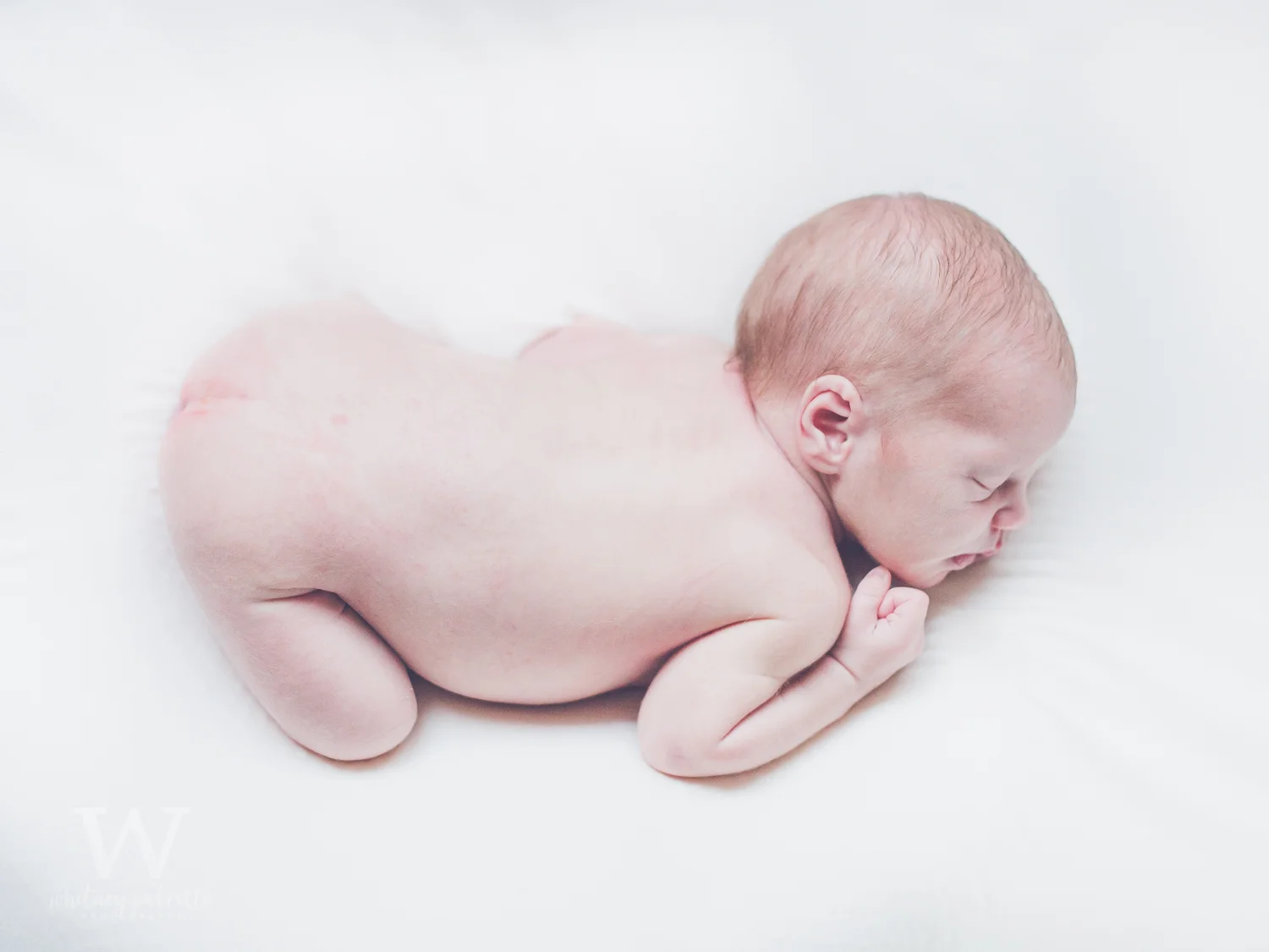 Miss Charlotte Jean | Newborn Photographer | Family Photographer | Portland, OR | Whitney Petretto Photography