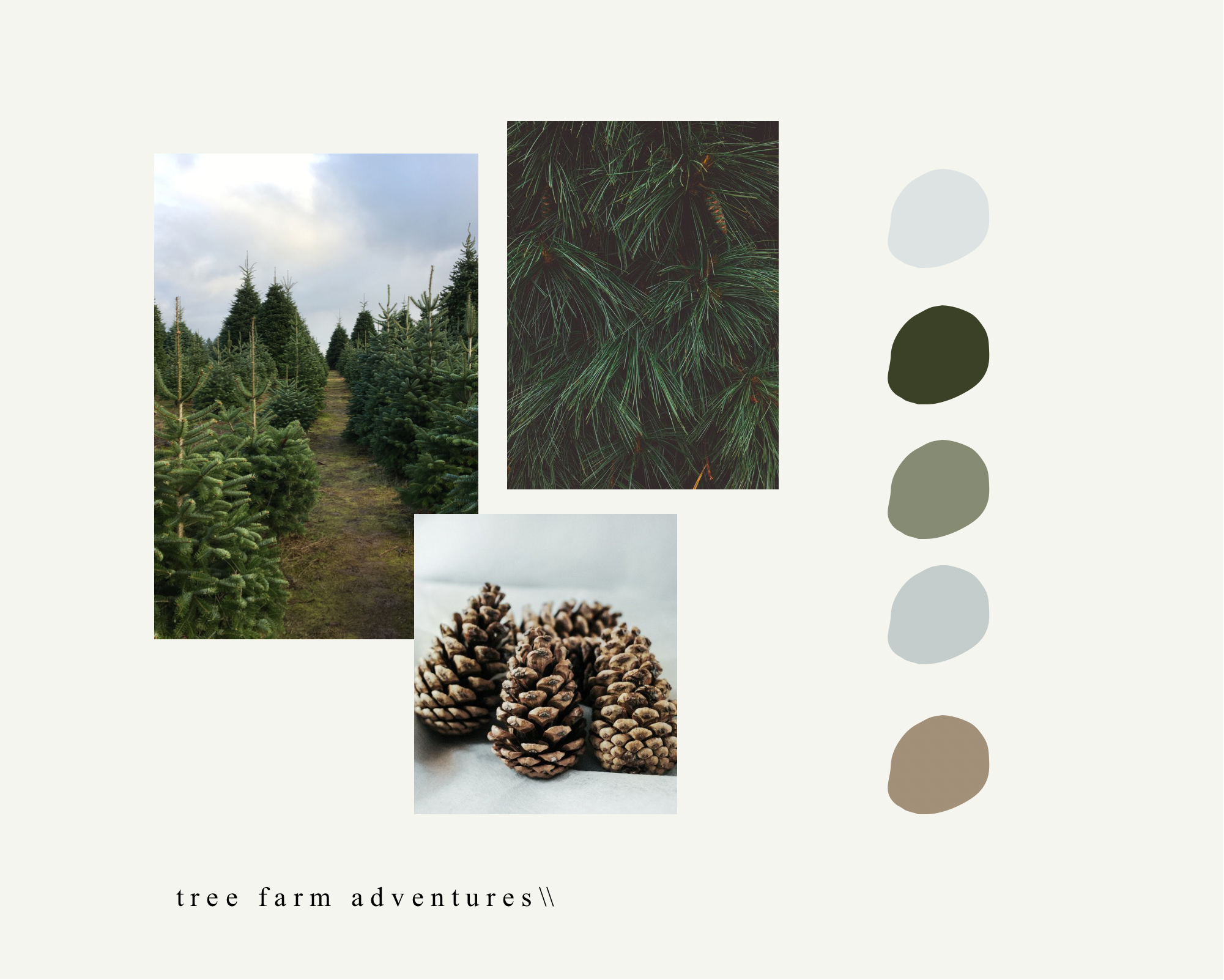 ideal holiday-inspired color palettes