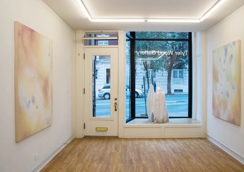 Installation View: Bruised Panel 5, Based Figure, Bruised Panel 6