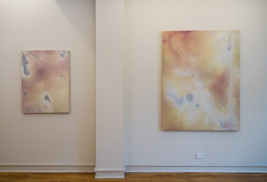 Installation View: Bruised Panel 2, Bruised Panel 5
