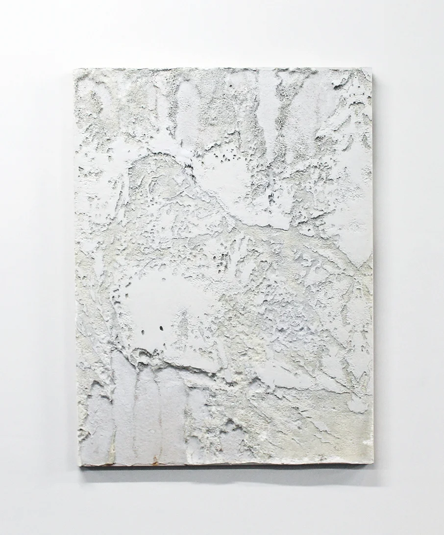 Excavated panel EPS foam and Spray paint on Panel, 48"x63"x2" 2013