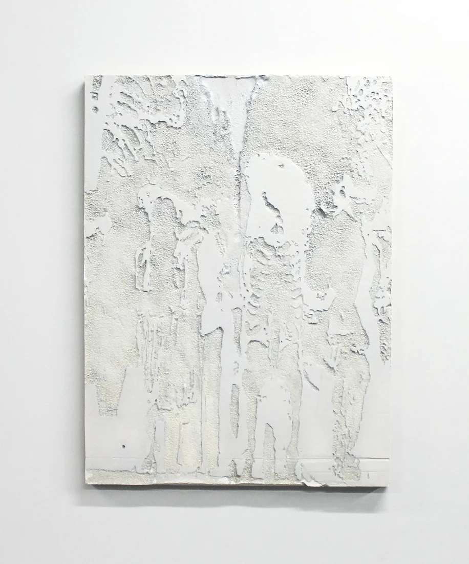 Excavated panel EPS foam and Spray paint on Panel, 48"x63"x2" 2013
