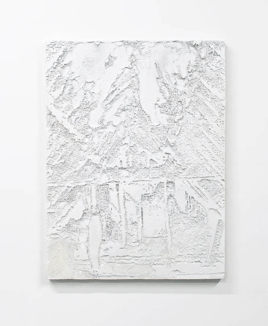 Excavated panel EPS foam and Spray paint on Panel, 48"x63"x2" 2013
