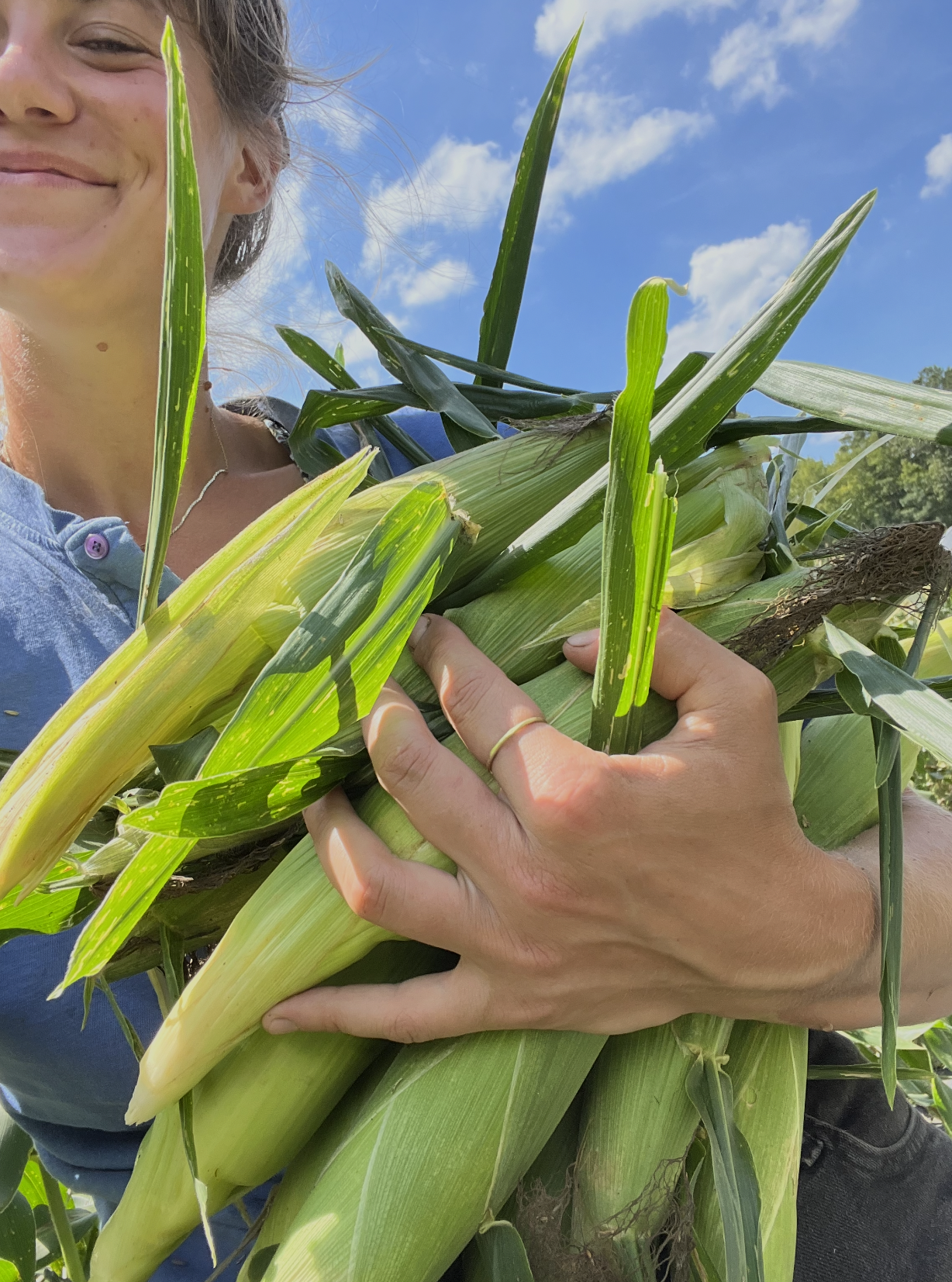 Screenshot 2026-04-23 at 12.19.23 PM.png