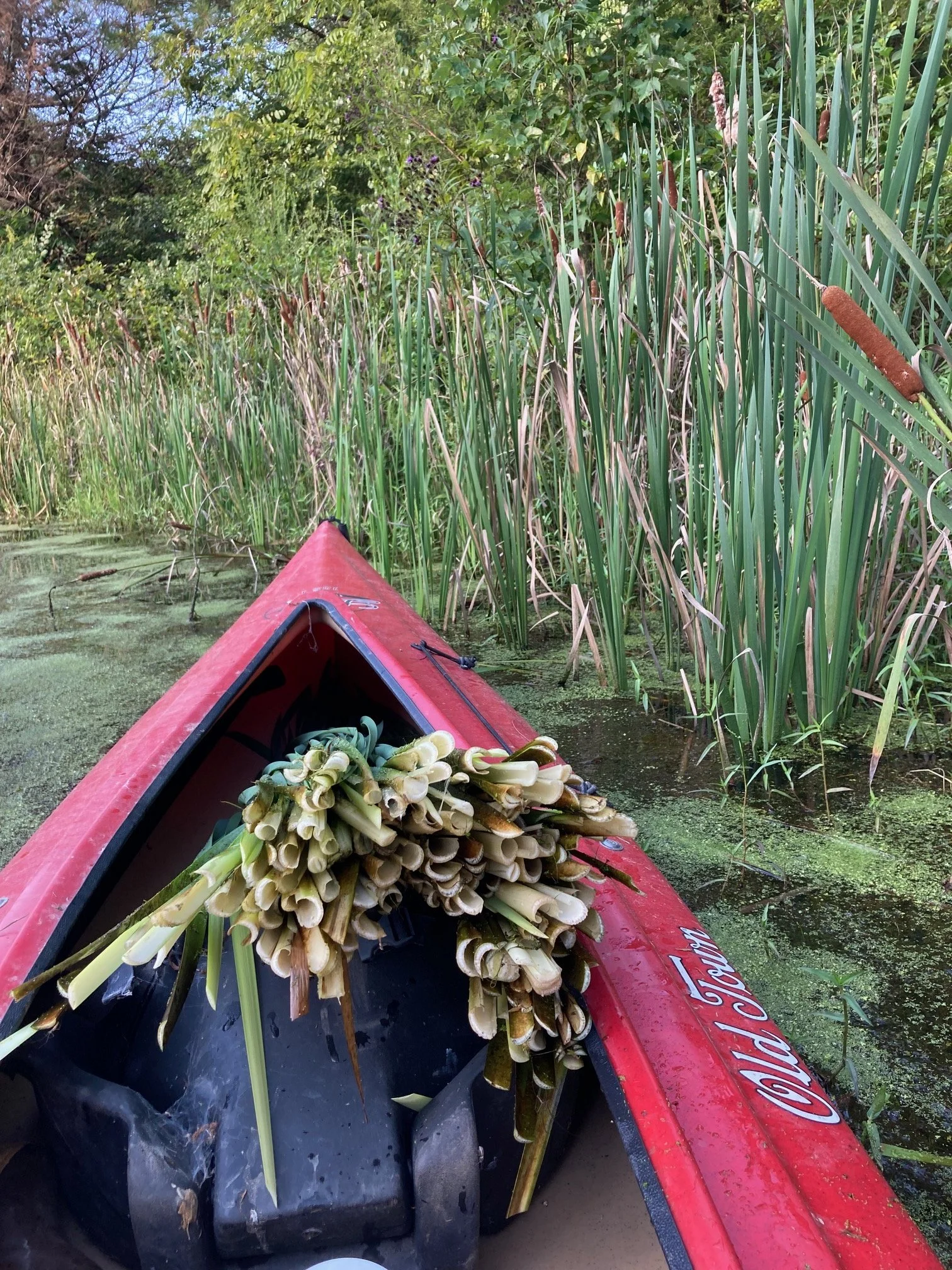 Sept 20: Cattail Hats with Angela