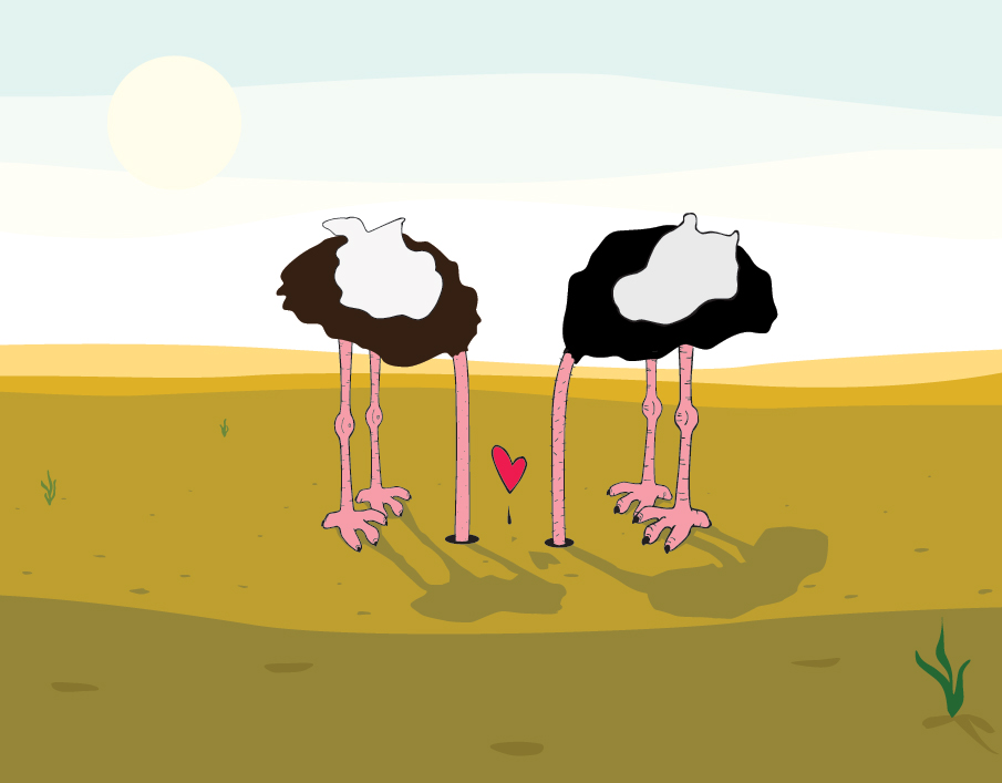 Ostriches_905.jpg