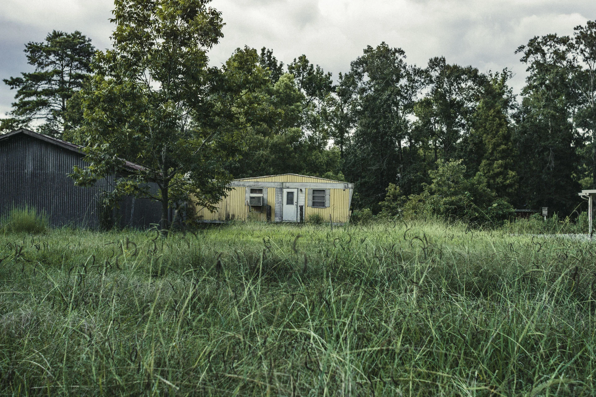 Louisiana_FinalDSC02660.JPG