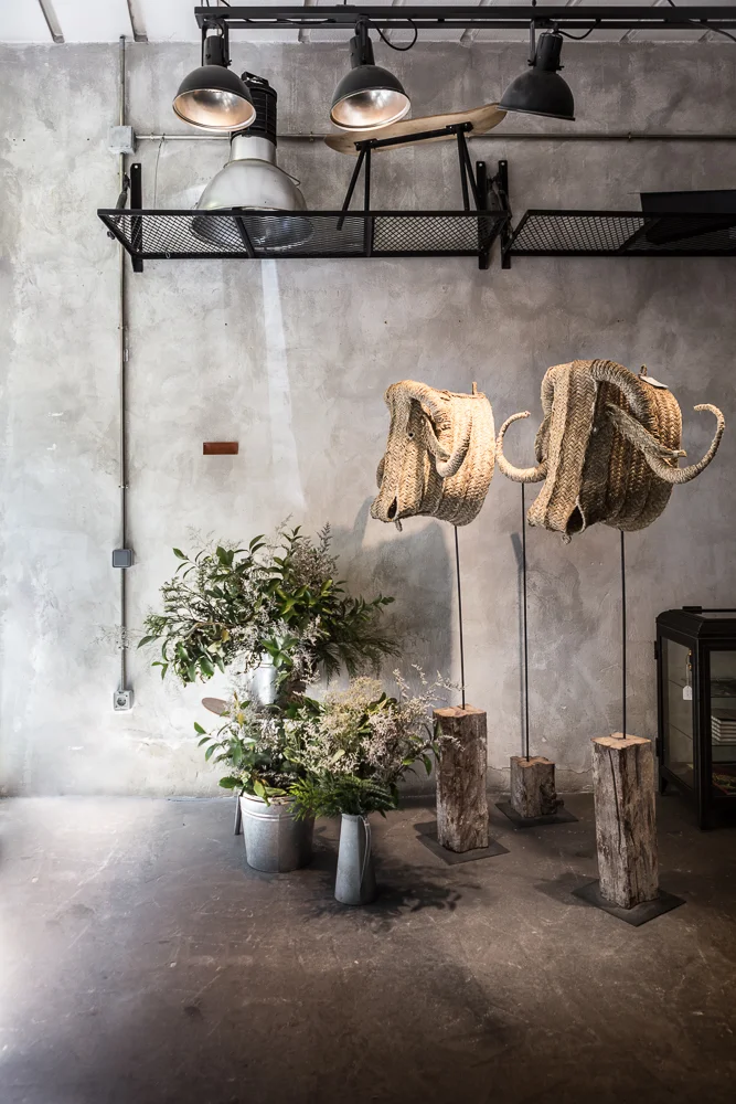 IMG_1513-Edit.jpg