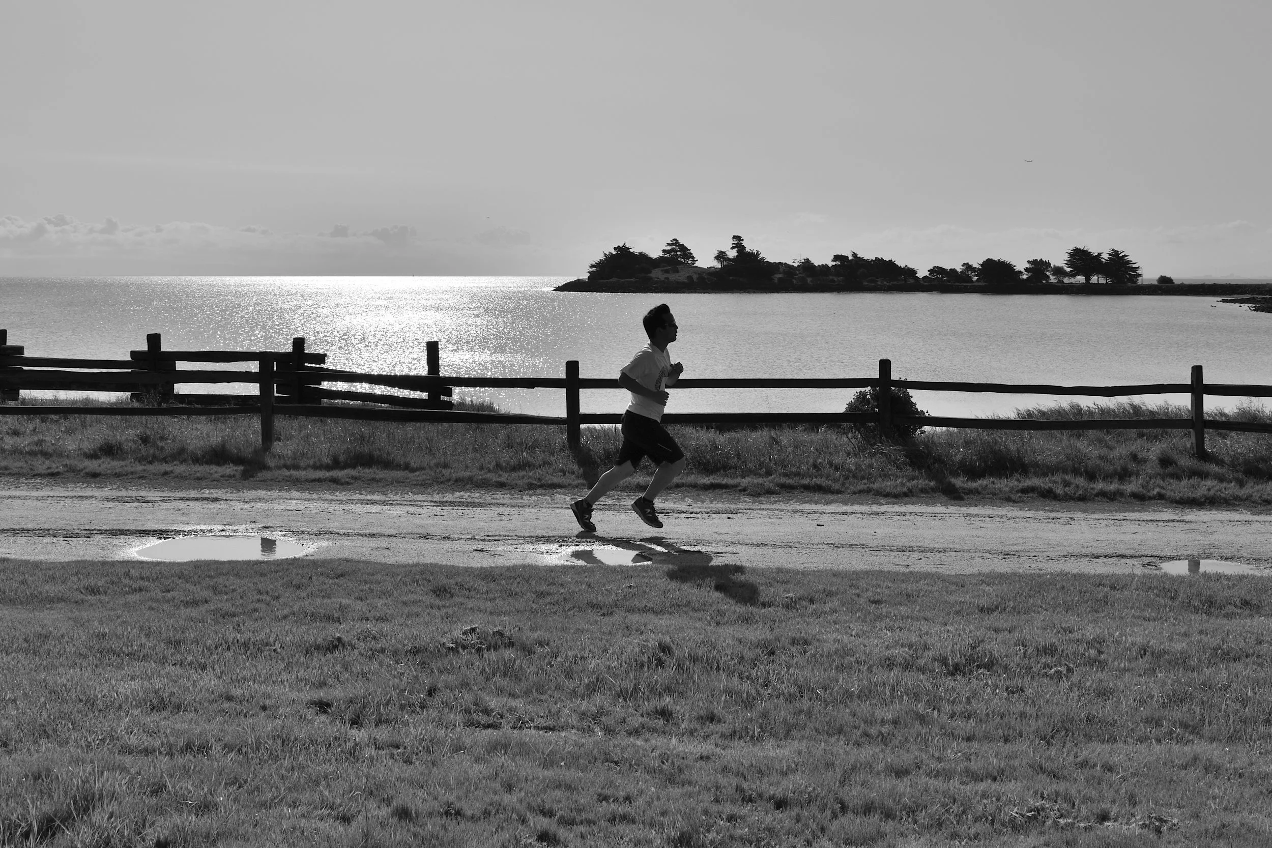 DSC_3467_00013.jpg