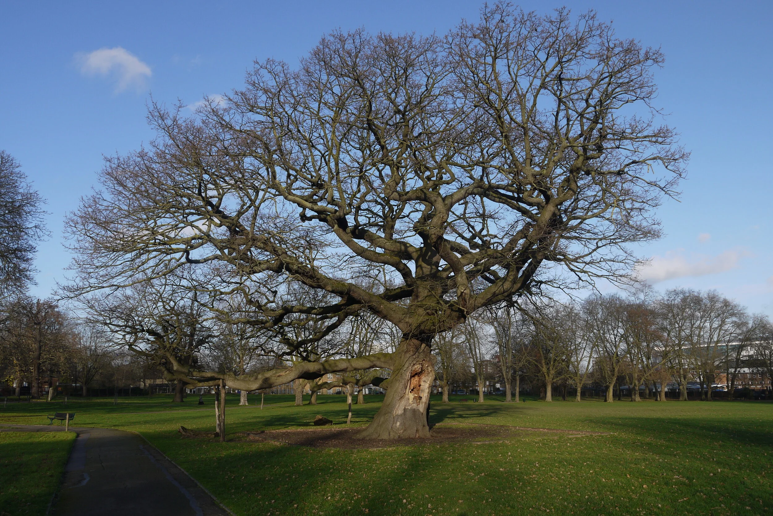 Bruce-Castle-Park.JPG